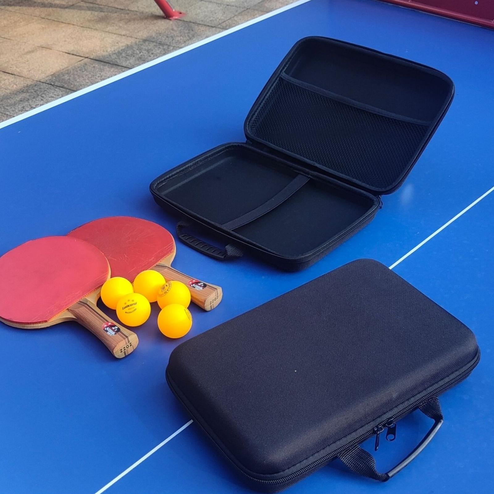 Paddle Protective Case EVA Com - Table Tennis Ace 评论和价格
