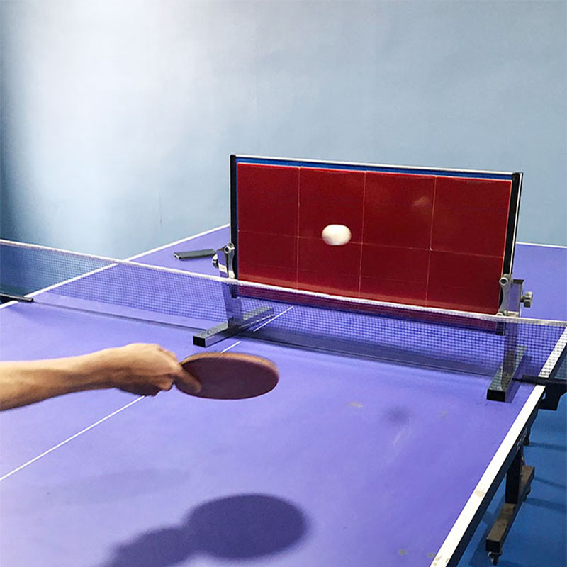 Home Table Tennis Rebound Boar - Table Tennis Player 评论和价格