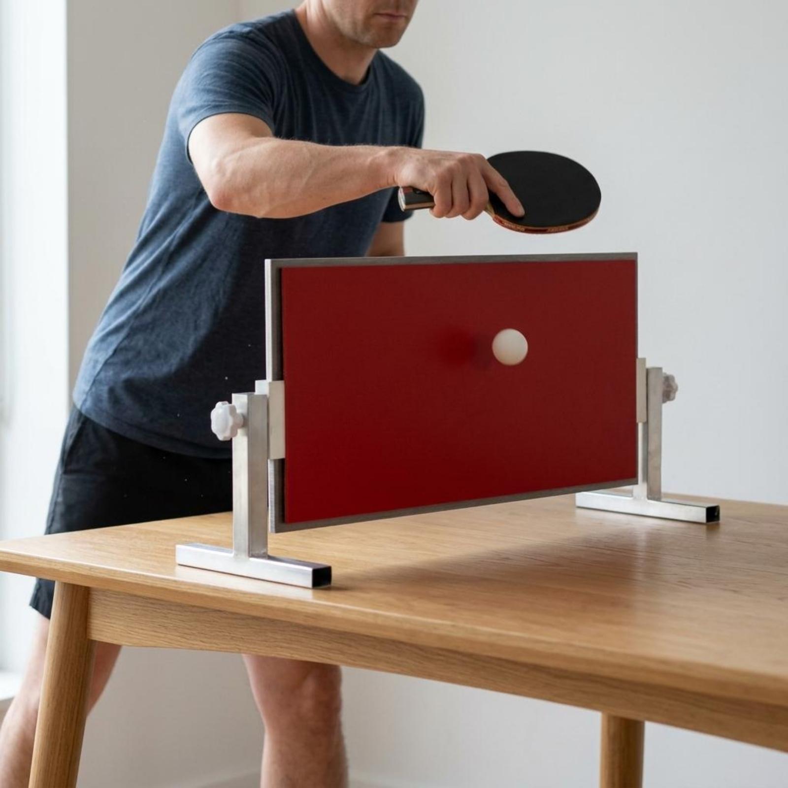 Table Tennis Boards Rebound Tr - Table Tennis Player 评论和价格